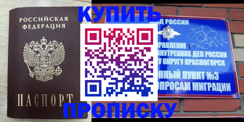 прописка гарантия в Шатуре